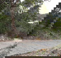 Great North Walk  Ku-ring-gai Chase National Park