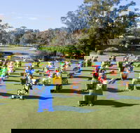 Hello Koalas Sculpture Trail - Accommodation Asia