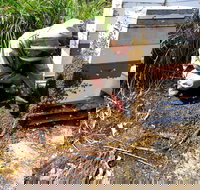 Honey Tasmania - The Beehive - Accommodation China