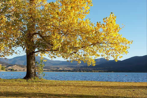 Khancoban - Accommodation China 0