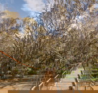 Lachlan River Swing Bridge - Accommodation Asia