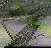 Leschenault Peninsula Conservation Park - Accommodation China