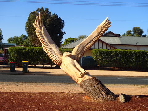Loxton Tree Sculptures - Accommodation China 0