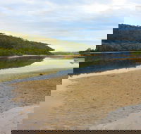 Mangrove Walk - Accommodation Asia