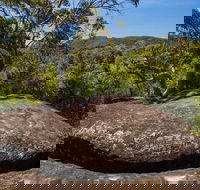 Marramarra Ridge to Smugglers Ridge walking track - Accommodation Asia
