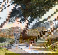 Meningie Walking and Cycling Trails