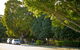 Miriam Vale - thumb 1