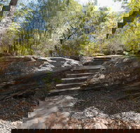 Mooney Mooney nature walk - Accommodation China