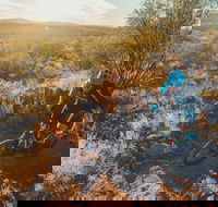 Mountain Biking in Alice Springs - Accommodation Guide