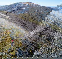 Mt Buller Bike Park - Accommodation Asia