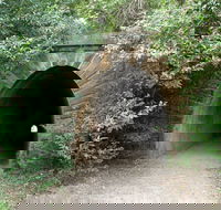 Mushroom Tunnel - Accommodation Guide