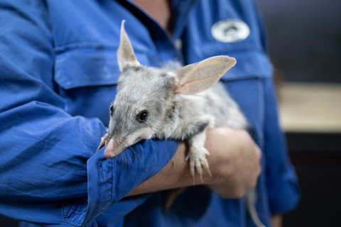 Natural Sciences Loop - Accommodation Asia 2