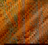 Newcastle Waters - Accommodation Guide