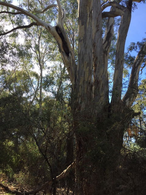 Northern Beaches - Accommodation Guide 0