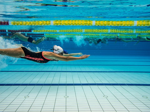 Nowra Aquatic Park - Accommodation Asia 2