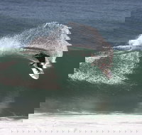 Old Bar - Accommodation Guide