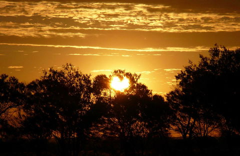 Paroo-Darling National Park - Accommodation Guide 0
