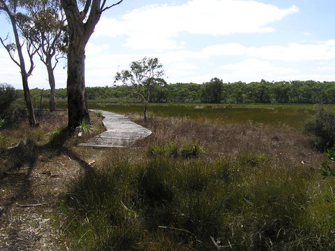 Penola Conservation Park - Accommodation Guide 0