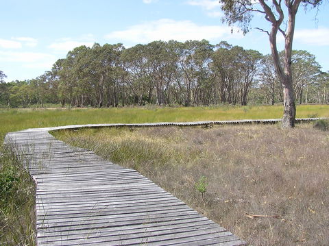Penola Conservation Park - Accommodation Guide 1