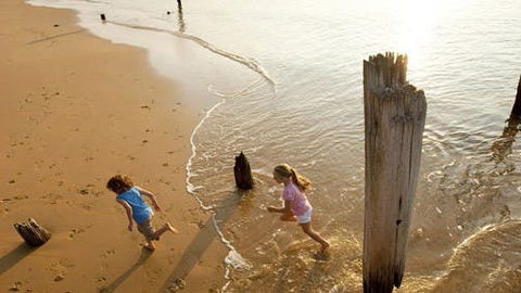 Phillip Island - Accommodation China 0