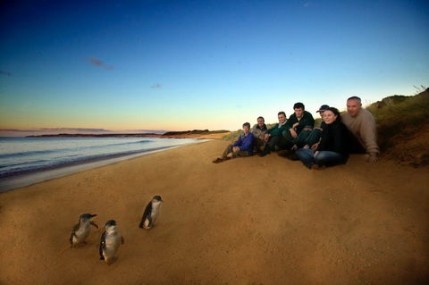 Phillip Island - Accommodation China 2