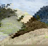 Pieries Peak Walking Track - Accommodation Asia