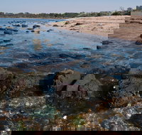Point Cook Marine Sanctuary - Accommodation China