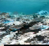 Purdy Point - Accommodation Asia