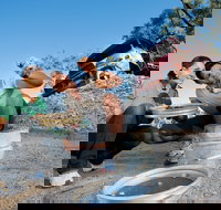 Sapphire - Accommodation China