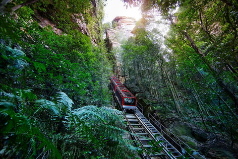 Scenic World Blue Mountains - Accommodation China 0