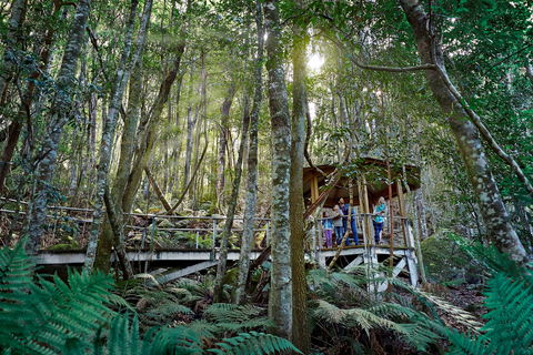 Scenic World Blue Mountains - Accommodation China 2