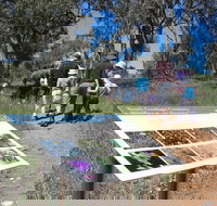 South Gundagai Woodlands Walk - Accommodation China