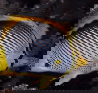 Spiders Ledge - Accommodation China