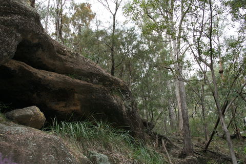 Springwood Conservation Park - Accommodation Guide 2