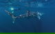 The Coral Coast Highway - thumb 0