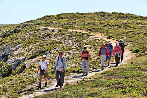 The Sole Walk At Hillocks Drive - Accommodation Asia 0