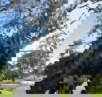 The Herbig Family Tree - Accommodation Guide