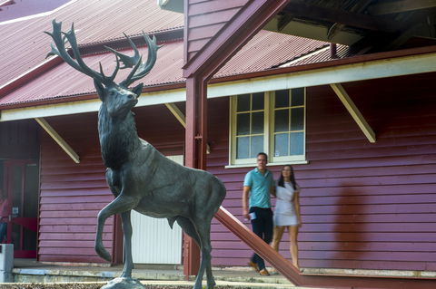 Toogoolawah - Accommodation Asia 1