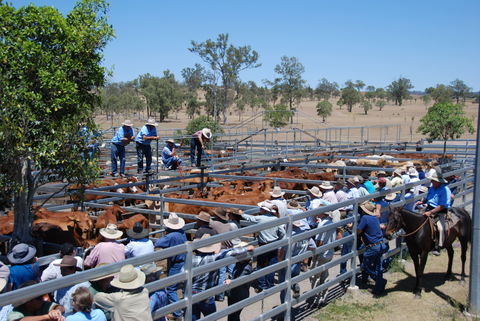 Toogoolawah - Accommodation Asia 2