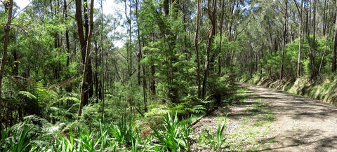 Tyers Park - Accommodation Guide 0