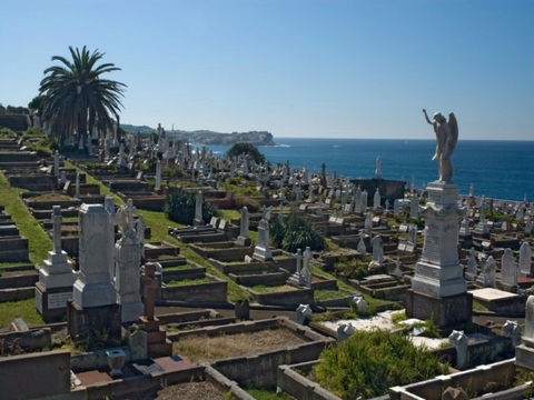 Waverley Cemetery - Accommodation Guide 0