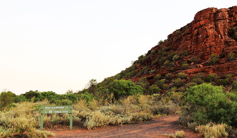 Whyalla Conservation Park - Accommodation Guide 0