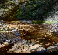 Wilson River picnic area - Accommodation Asia