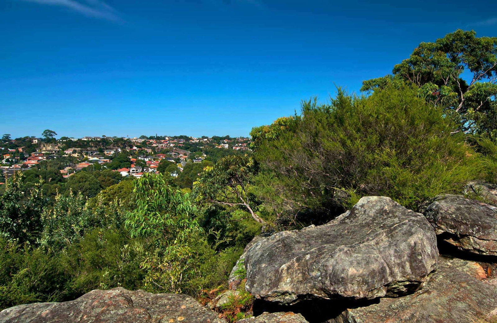 Earlwood NSW Accommodation China