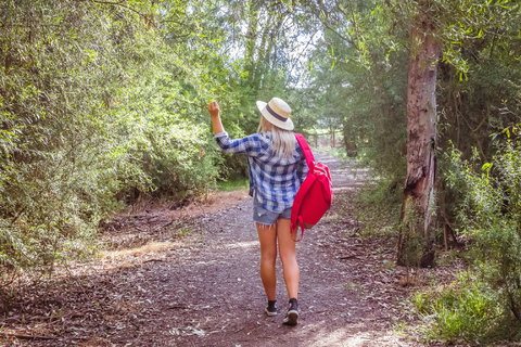 Yea Wetlands Walk - Accommodation China 2