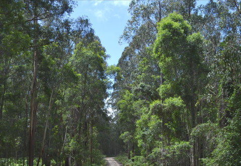 Alfred National Park - Accommodation Asia 1