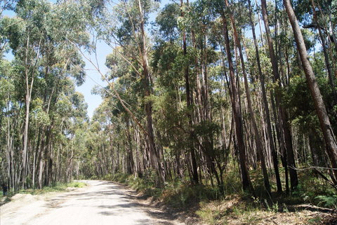 Alfred National Park - Accommodation Asia 2