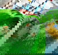 AquaPulse - Accommodation Asia