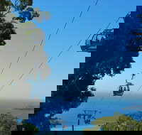 Arthurs Seat Eagle - Accommodation Guide