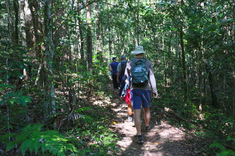 Booloumba Falls Walk, Conondale National Park - Accommodation Guide 1
